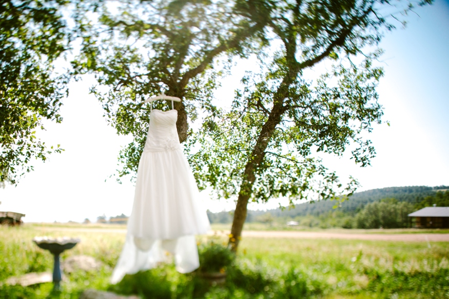 Rustic Mountain Wedding - Malissa Ahlin Photography