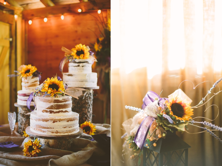 Rustic Mountain Wedding - Malissa Ahlin Photography