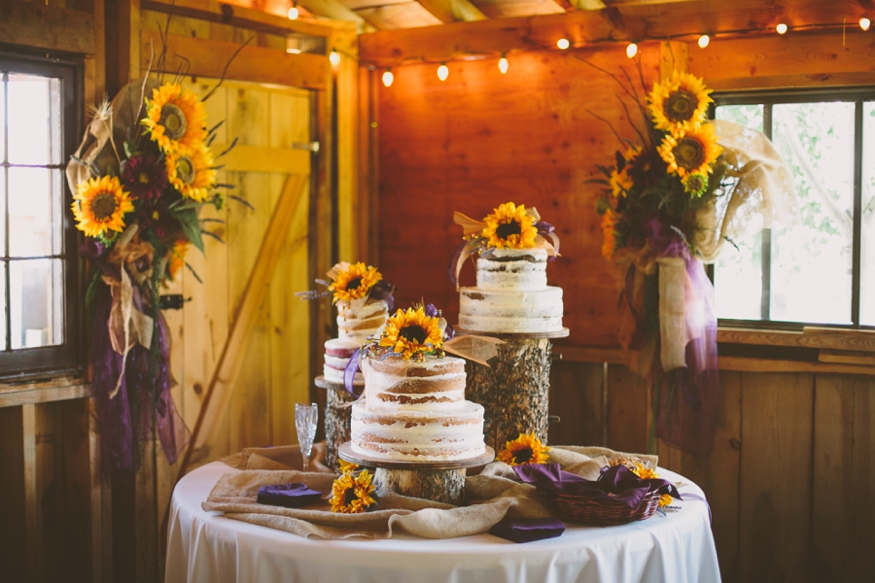 Rustic Mountain Wedding - Malissa Ahlin Photography