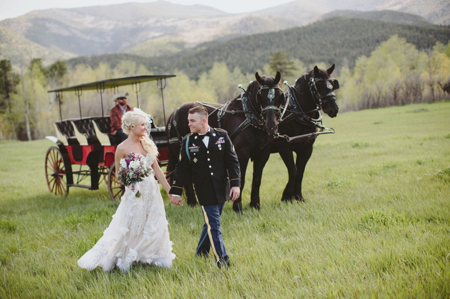 Horse and Carriage Wedding