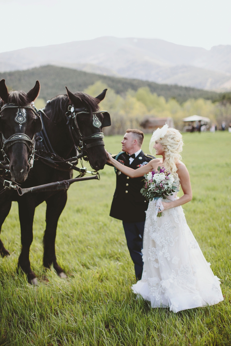 Horses at a Wedding
