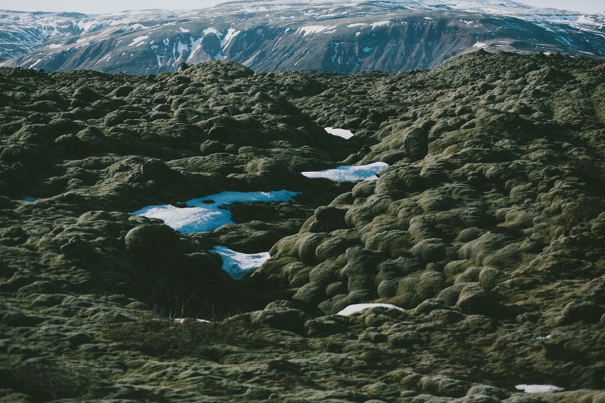 Iceland Lava Fields